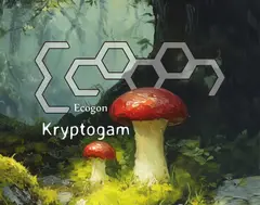 Ecogon (Kryptogam) box