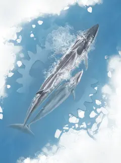 Arctica box